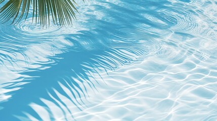 Poster - Aqua waves and coconut palm shadow on blue background. Water pool texture top view.Tropical summer mockup design. Luxury travel holiday. 3d render