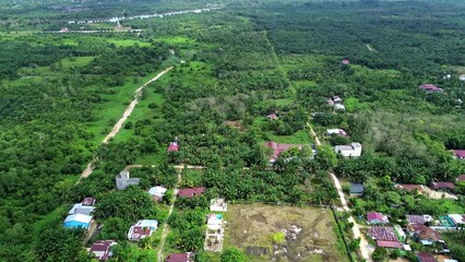 Wall Mural - Aerial 4k video of the palm oil plantation in Pekanbaru, Riau, Indonesia. It is one of Indonesia's precious commodity.