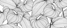 Black And White Floral Background With Calla Flowers And Leaves. Vector Background For Coloring Books, Wallpapers, Covers.