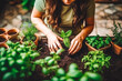 Close up of woman working on home garden and planting vegetables in, home grown produce, green life for better future.