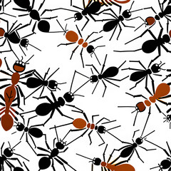 Wall Mural - Ants in forest, AI-Generatet