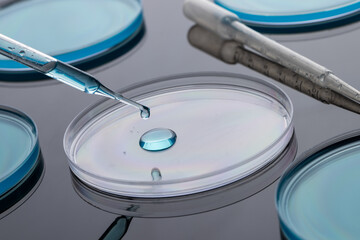 Poster - Close up of laboratorydishes and pipette with copy space on grey background