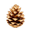 Golden pine cone isolated on a transparent background.
