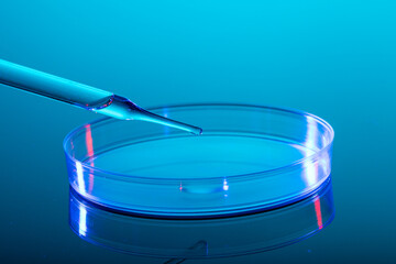 Poster - Close up of pipette and laboratory dish with liquid and copy space on blue background