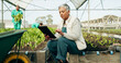 © N Felix/peopleimages.com - Woman, tablet and greenhouse plants, farming and gardening for agriculture, green product or agro business. Senior manager or farmer typing data, digital checklist and vegetables or growth inspection