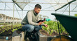© N Felix/peopleimages.com - Tablet, research and a man in a farm greenhouse for growth, sustainability or plants agriculture. Technology, innovation and agribusiness with a farmer tracking crops in season for eco science