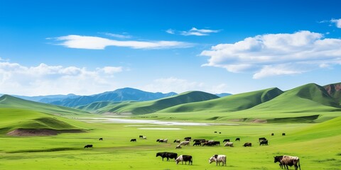 Canvas Print - Greenfields spring landscape