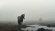  a couple of horses standing on top of a grass covered field next to a puddle of water on a foggy day.  generative ai
