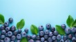 Fresh blueberries with green leaves on a blue background