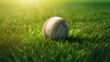 Cricket ball on green grass with morning sun background