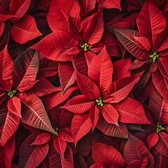 Wall Mural - Abstract background with red Poinsettia leaves. Square composition.
