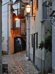 Wall Mural - blue hour evening 