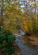 Fall colors in the Blue Ridge Mountains of western North Carolina