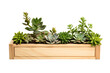 Wooden Planter Isolated on Transparent Background. Ai