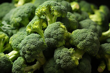 Broccoli Background Collection Of Healthy Food Fruit And Vegetables, Natural Background Of Fresh Broccoli Representing Concept Of Organic Vegetables , Healthy Eating, Fresh Ingredient 