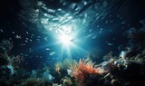 Fototapeta Do akwarium - Underwater view of coral reef with fish and rays of sunlight.