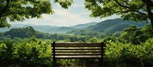 Bench In The Tea Plantation, Panoramic View Of The Mountains