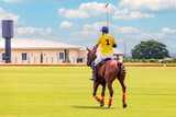 POLO horse and rider