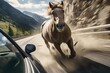 Wild mustang Horse Races Car on Desert Highway