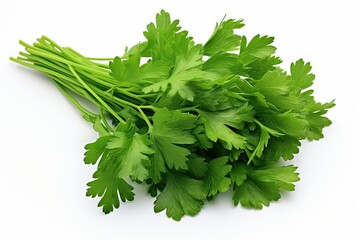 Wall Mural - Selective focus on white background with falling parsley.