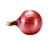 red onion isolated