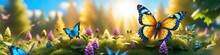Banner Butterflies On Flowers On Forest Glade On Blurred Natural Background, Concept Valentine's Or Birthday Or Mother's Day Or Women's Day.