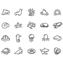 Marine Life Icons Vector Design