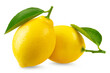 Lemon isolated. Two fresh lemons with leaves on a transparent background.