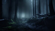 A mysterious, moody ambiance is evoked by an enigmatic, foggy dark-forest landscape with dramatic illumination.