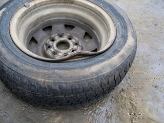 Bent steel rim on a wheel with winter tires. Damaged steel. Wheel with bent steel rim. Car problems, bad roads, financial expenses