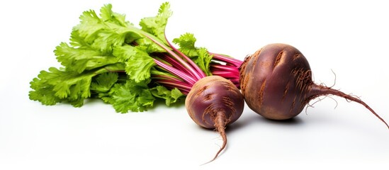 Wall Mural - White background showing beet and carrot in isolation