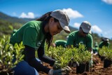 Fototapeta  - Volunteers planting trees in a reforestation project, working to restore the environment and combat climate change, showcasing their dedication to environmental conservation.