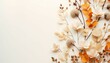 Top view autumn composition concept. Dried leaves, flowers and berries on white background. Autumn, fall, thanksgiving day concept photo. Flat lay with copy space