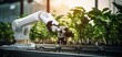 © ETAJOE - Robot arm growing plants laboratory, Smart robotic arms in  greenhouses. Autonomous farming with robotic harvesting