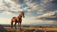  A Brown Horse Standing On Top Of A Dry Grass Covered Field Next To A Large Rock And A Cloudy Sky.  Generative Ai