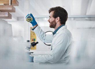 Aufkleber - Science, man and laboratory with chemical liquid for chemistry research, pharma test and biotechnology results. Medical innovation, scientist and expert studying solution of dna health investigation