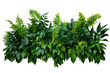 Tropical leaves foliage plant bush floral arrangement (Areca palm, Philodendron, Swiss cheese ,Bamboos) isolated on a transparent background. PNG, cutout, or clipping path.