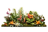 Fototapeta Pokój dzieciecy - Green leaves of tropical plants bush with flowers floral arrangement indoors garden nature backdrop, PNG, cutout, or clipping path, on a transparent background.	
