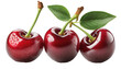 © FAFO - Cherry isolated. Sour cherry. Cherries with leaves isolated on transparent background . PNG, cutout, or clipping path. Sour cherries on white. Cherry set.