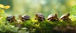 A bunch of tiny turtles happily playing in the coolness of the shade