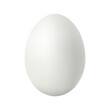 © Eugene B-sov - White chicken egg Realistic and volumetric egg for easter isolated on white background