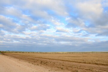 Texas Panhandle Field