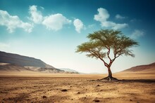 Solitary Tree In Barren Desert With Lush Green Foliage. Generative AI