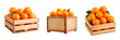 Wooden bins full of organic oranges over white transparent background