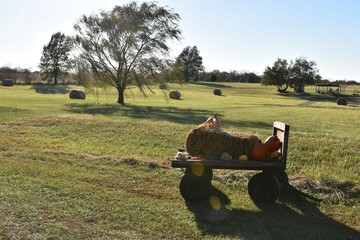 Poster - Pumpkins and Straw Bale on a Trailer in a Hay Field