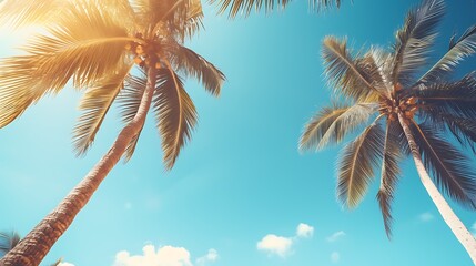Wall Mural - Blue sky and palm trees view from below, vintage style, tropical beach and summer background, travel concept