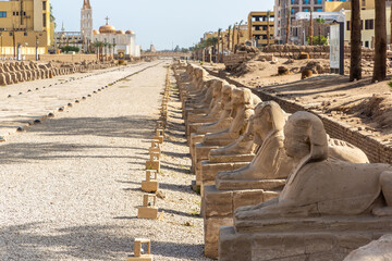 Canvas Print - Sphinx Allee in Luxor, Egypt