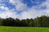 Fototapeta Do pokoju - Naturalny krajobraz Belgii.