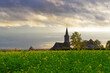 Krajobraz wsi i kościoła w Belgii, Europa Zachodnia.