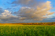 Piękny krajobraz w Belgii, pola i chmury na niebie, Kortenaken. Uprawy rolne.